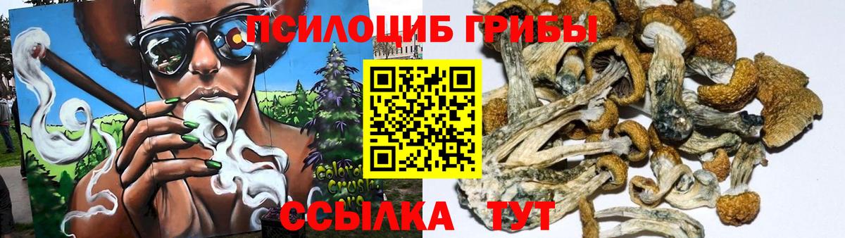 Галлюциногенные грибы MAGIC MUSHROOMS Каменск-Уральский