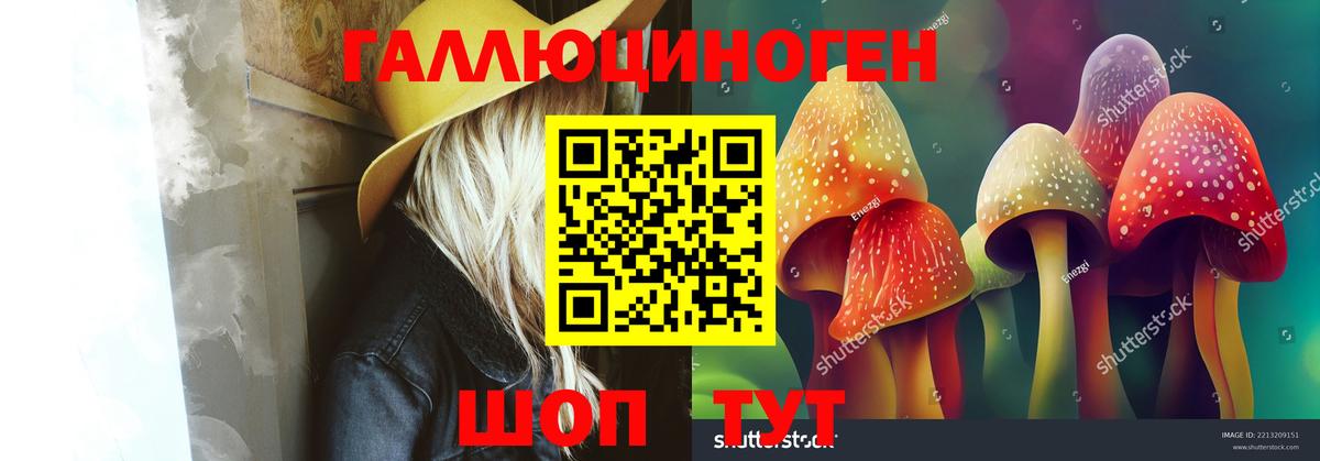 Каменск-Уральский  Галлюциногенные грибы Psilocybine cubensis  Вход с VPN 